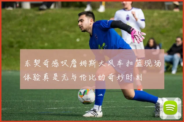 东契奇感叹詹姆斯大风车扣篮现场体验真是无与伦比的奇妙时刻