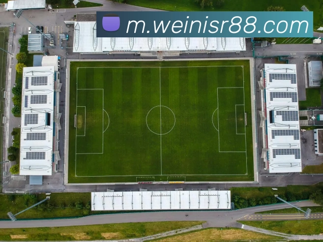 威尼斯人APP 封面图